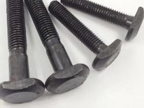 High Tensile T Bolt