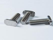 Stainless Steel 316 T Bolt 