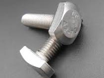 Stainless Steel T Bolt